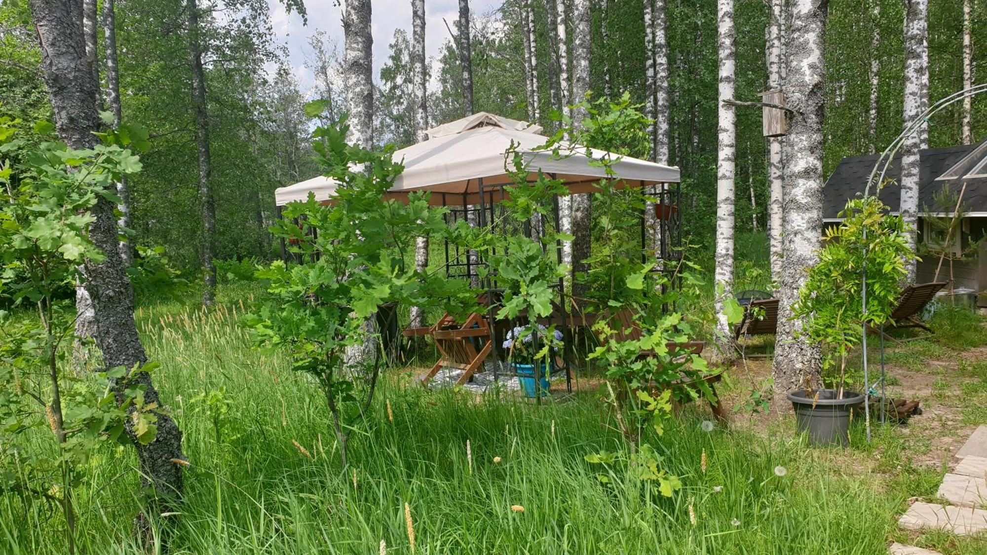 Troll House Eco-Cottage, Nuuksio For Nature Lovers, Petfriendly Espoo Ngoại thất bức ảnh